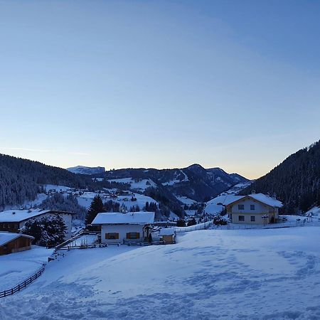 Appartamento Dolomiti سيلفا دي فال جاردينا المظهر الخارجي الصورة