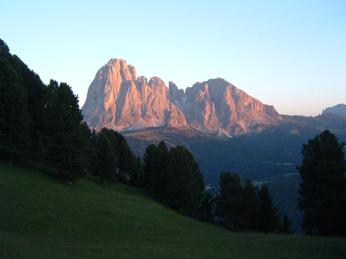 Appartamento Dolomiti سيلفا دي فال جاردينا المظهر الخارجي الصورة