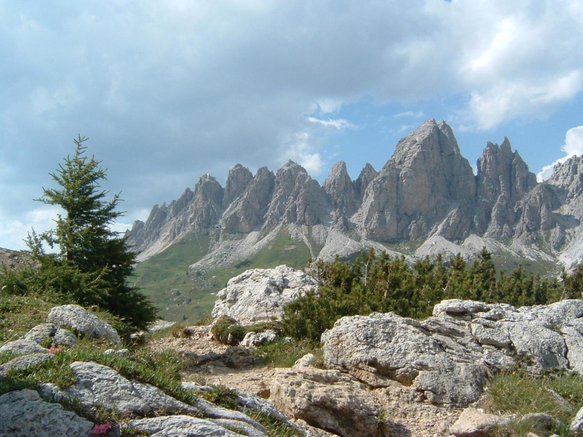 Appartamento Dolomiti سيلفا دي فال جاردينا المظهر الخارجي الصورة